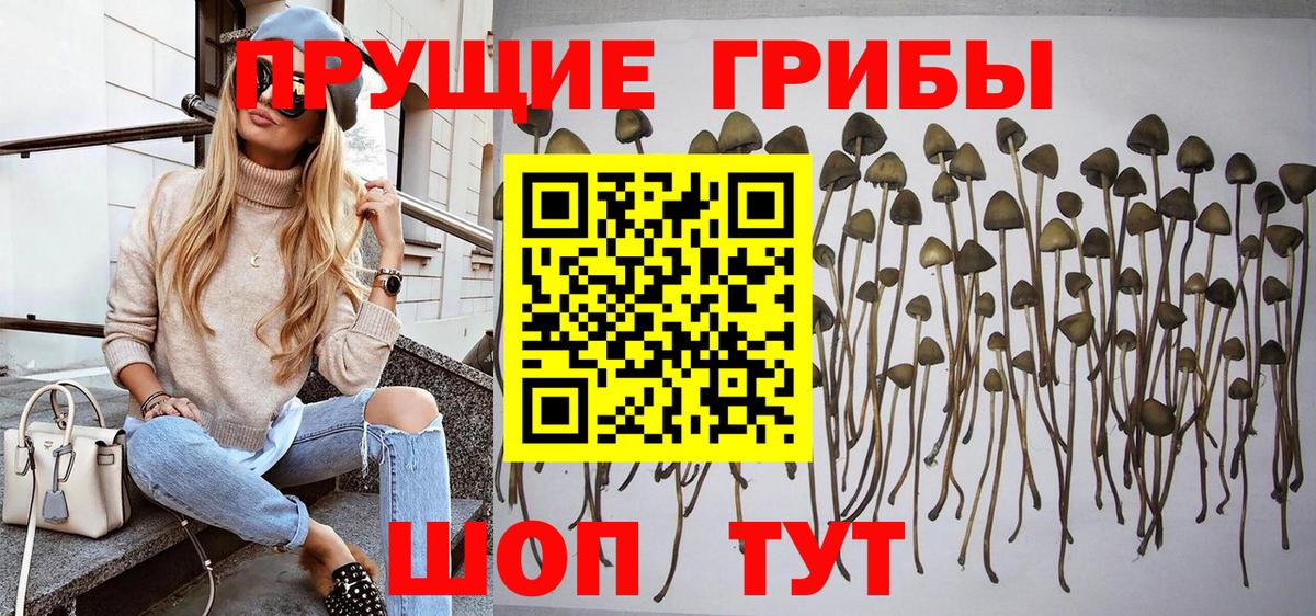 Гашиш  ГАШИШ  Ульяновск  А ПВП СОЛЬ кристаллы  Купить закладку  Меф МЯУ МЯУ   Меф  Вход с VPN  COCAIN  Конопля 