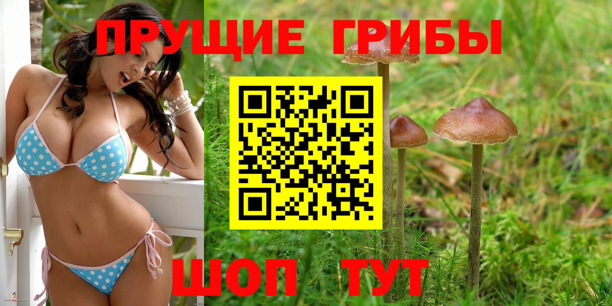 Псилоцибиновые грибы MAGIC MUSHROOMS  Вход с VPN  как найти закладки  Ульяновск 