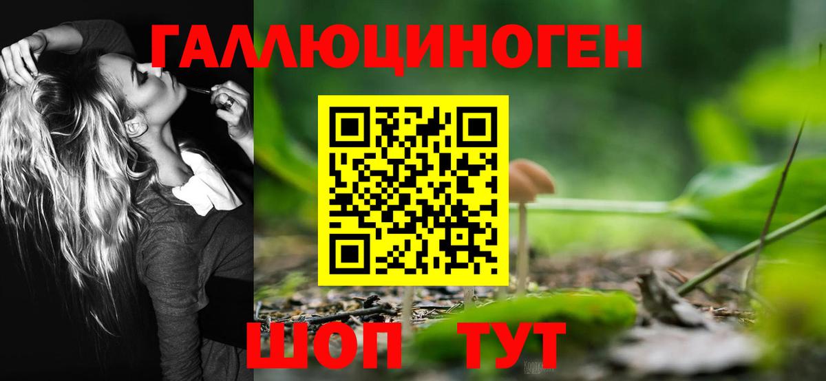 Галлюциногенные грибы Cubensis Ульяновск